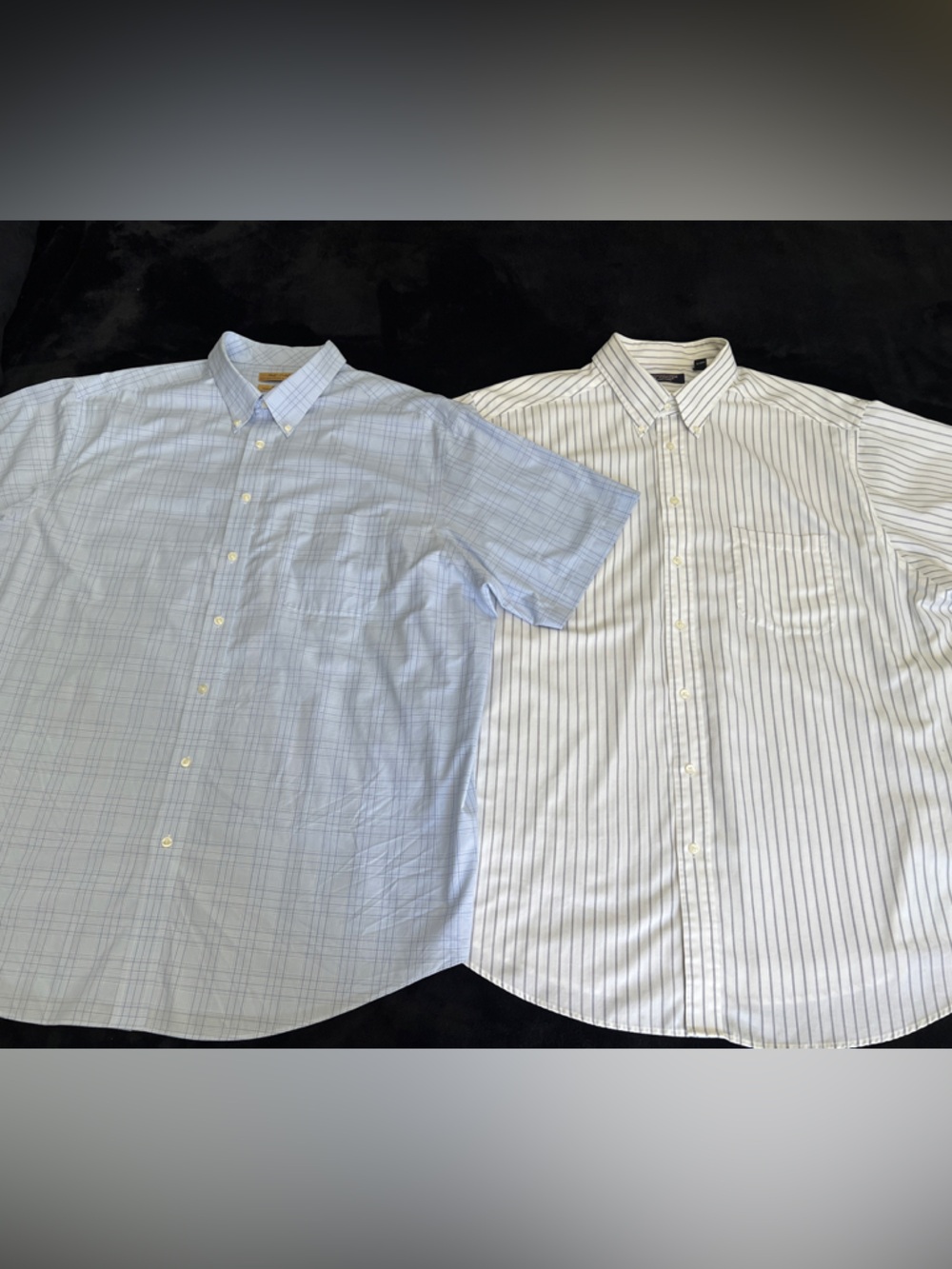 Roundtree & Yorke Light Blue & White Striped Casual Button-Down Shirts